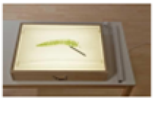 Ящик с подсветкой для тактильной игры "Рисуем на песке"